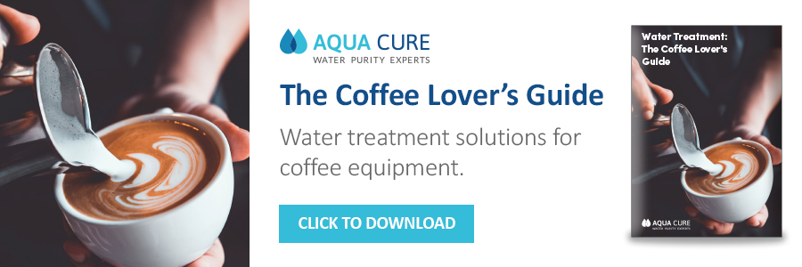 Download the Coffee Lover's Guide