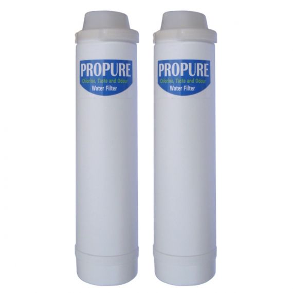 Image for Replacement Pre & Post Carbon Filters (one pair)