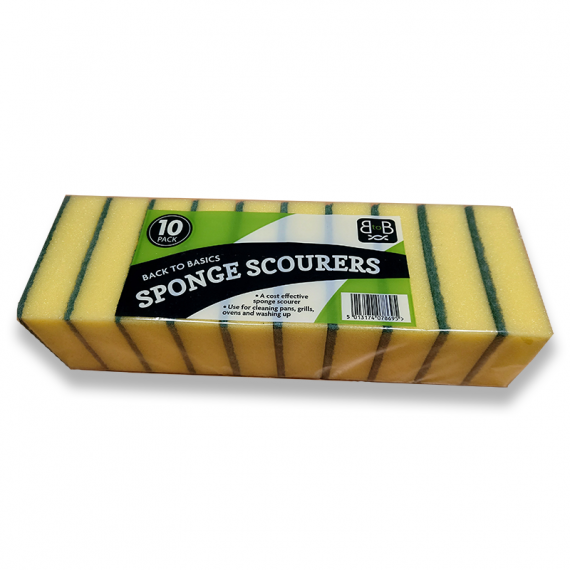 Sponge Scourer x10 (Old Style)