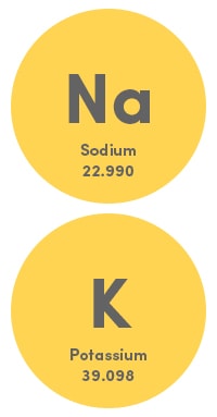 Sodium & Potassium