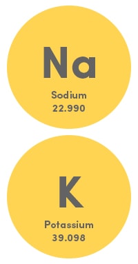  Sodium Potassium 