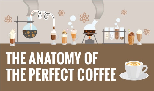 The Anatomy of The Perfect Coffee